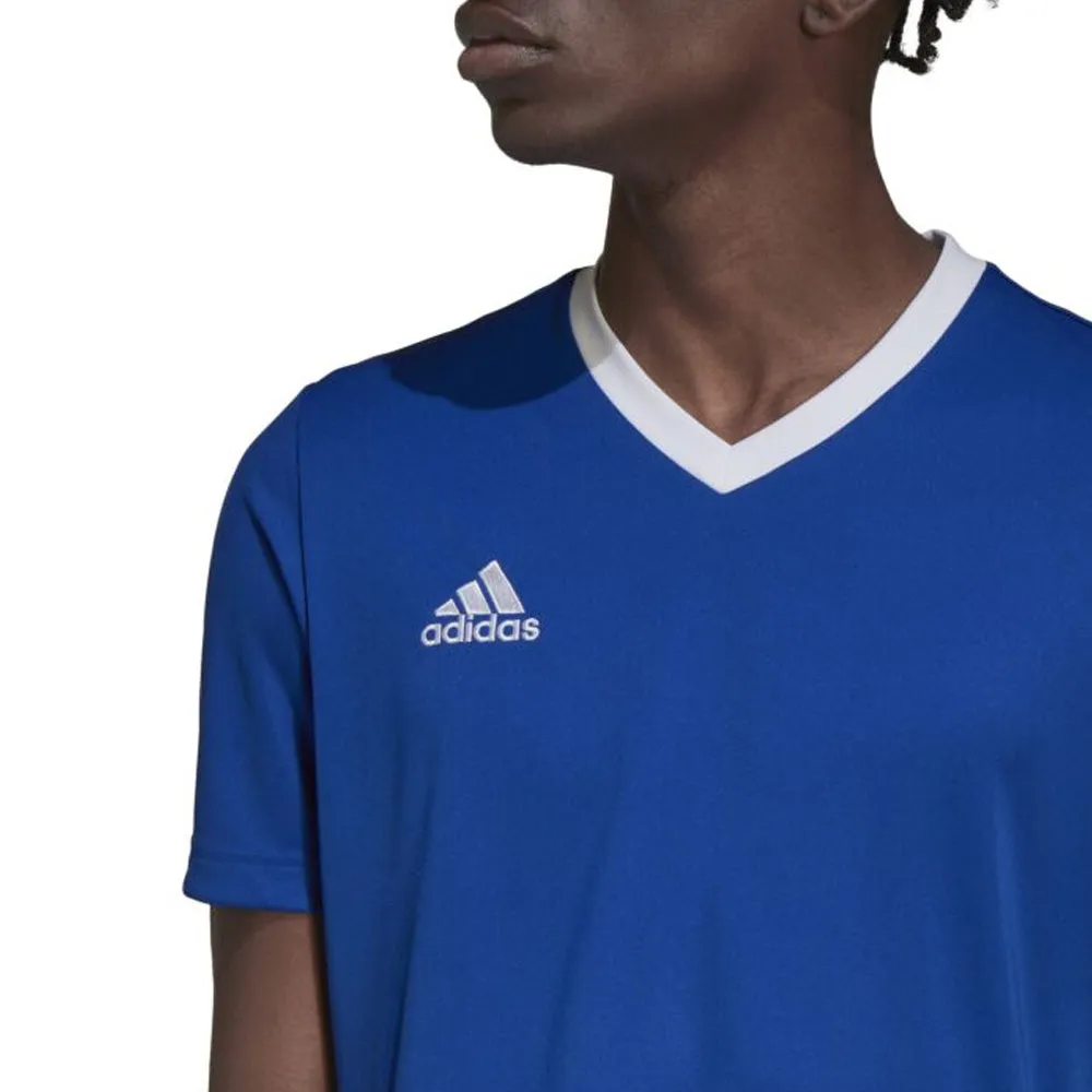 Adidas Youth Entrada 22 Jersey (Royal/White)