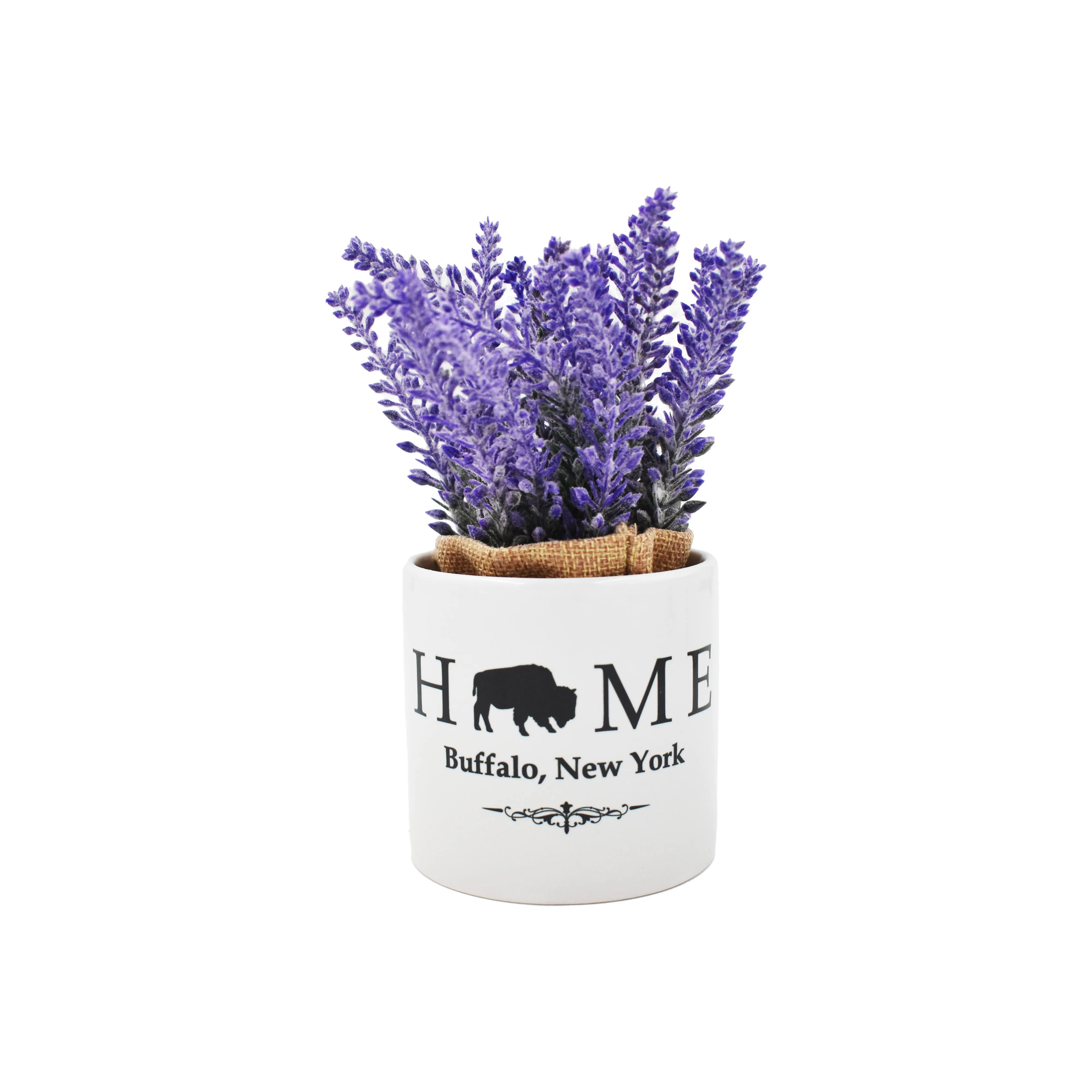 Buffalo, NY Purple Flowers With White Ceramic Pot Holder