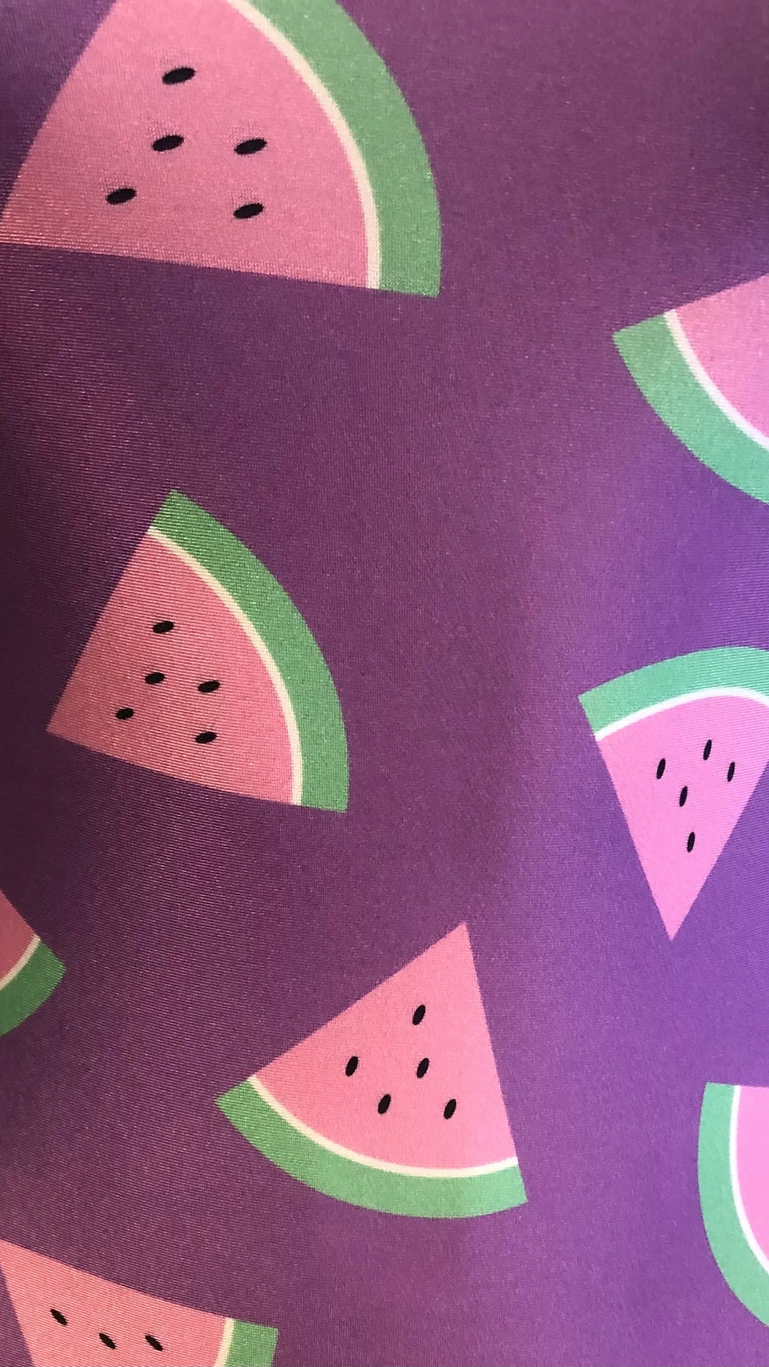 I'll Bring the Watermelon Leotard