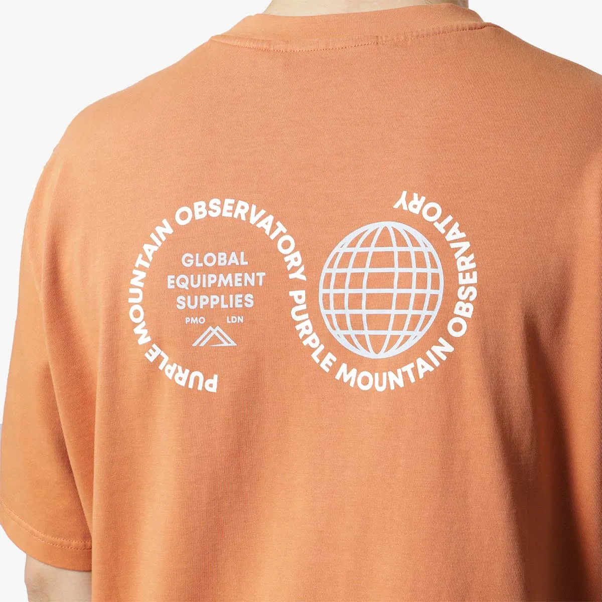 Purple Mountain Observatory Globe T-Shirt